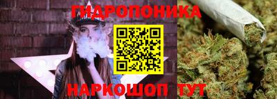 гидропоника Кулебаки