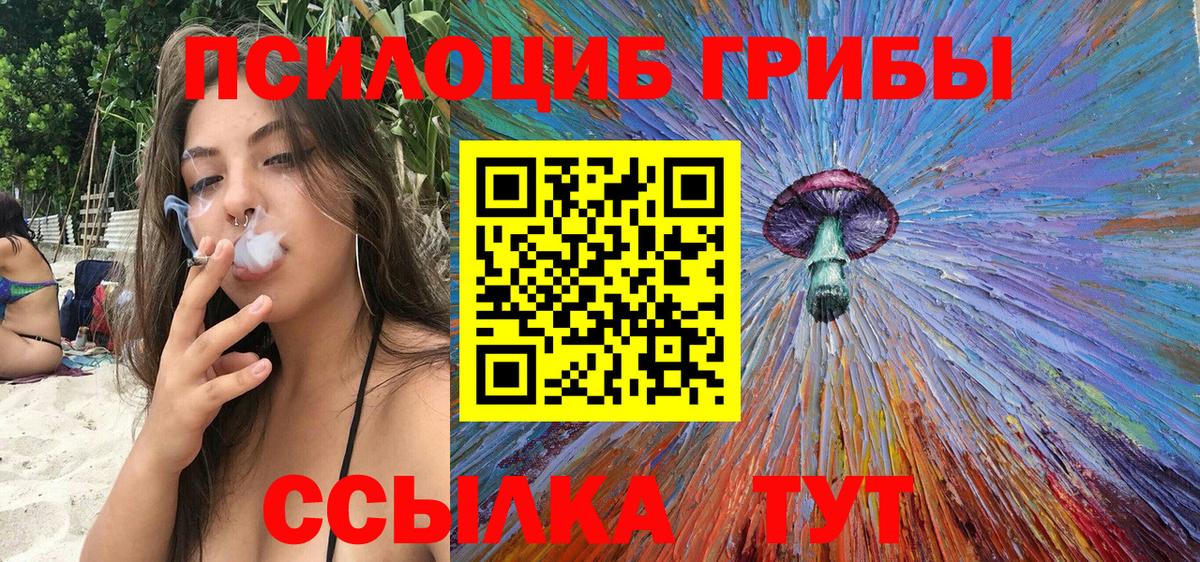 Псилоцибиновые грибы MAGIC MUSHROOMS Димитровград